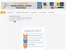 Tablet Screenshot of 3shandball.fr